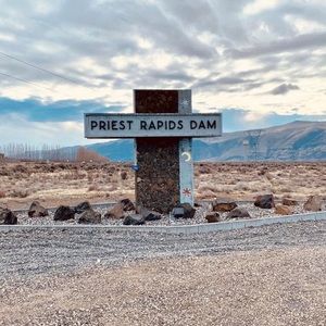 Meet your Posher, Lorelei